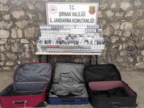 Şırnak'ta kaçakçılık ve asayiş operasyonu: 47 gözaltı