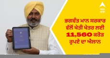 Punjab Budget for farm sector: ਭਗਵੰਤ ਮਾਨ ਸਰਕਾਰ ਵੱਲੋਂ ਖੇਤੀ ਖੇਤਰ ਲਈ 11,560 ਕਰੋੜ ਰੁਪਏ ਦਾ ਐਲਾਨ