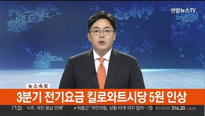 [속보] 3분기 전기요금 킬로와트시당 5원 인상