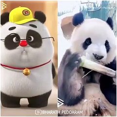 Cute Panda and bear dance part1