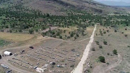 Emekli olan 4 kardeş babalarının vasiyeti üzerine arıcılığa başladı