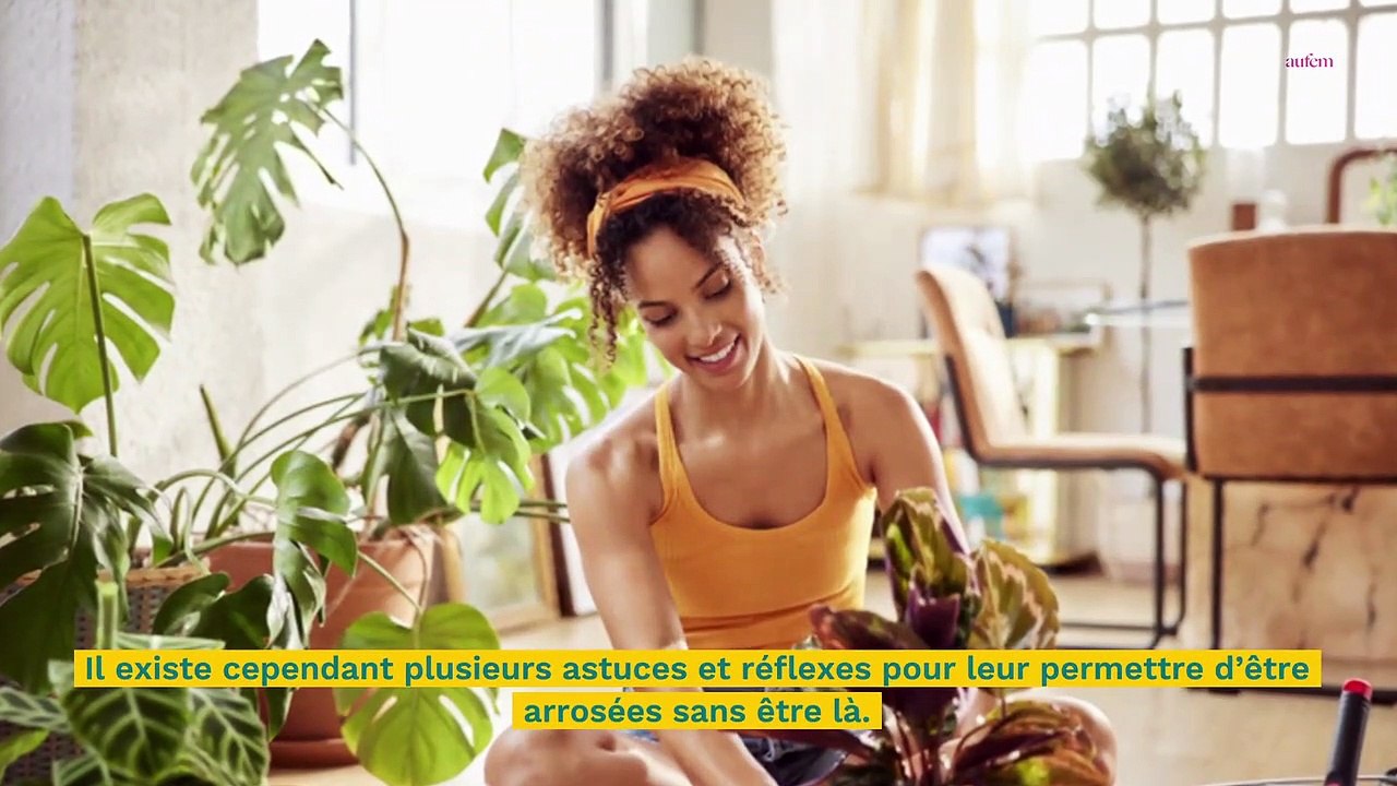 Comment arroser ses plantes pendant les vacances ?