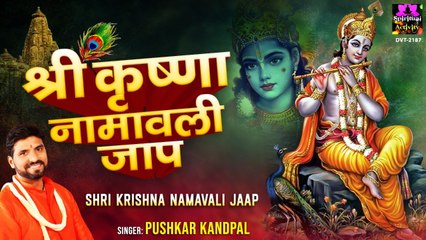 Shree Krishan Naamawali Jaap | Pushkar Kandpal | Hindi Devotional | Spiritual Activity | Meditation Songs | -2022