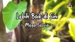 Mega Selvia - Lebih Baik di Sini (Official Lyric Video)