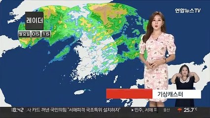 [날씨] 수도권 최대 250mm↑ 장맛비…남부 무더위 이어져