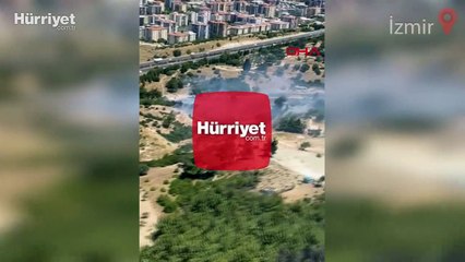 İzmir'de makilik alanda yangın