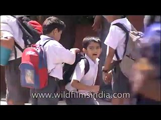 Springdales School girls and boys cross road in Delhi