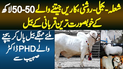 Rawalpindi Me 50/50 Lakh Ke Qurbani Wale Janwar Sale Karne Wala Doctor Viral