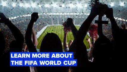 5 Facts about the Fifa World Cup