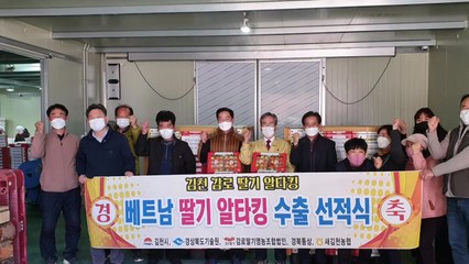 [경북] 경북, 자체 육성 딸기 6천600만 원 로열티 수익 / YTN