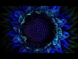 Puiu Nastase - Roata vietii