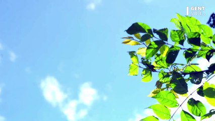 Des plantes ont poussé sans Soleil grâce à cette invention révolutionnaire