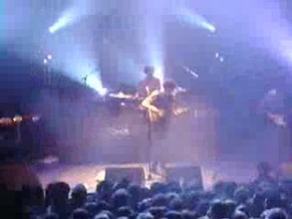 BB BRUNES - CAVALIER NOIR