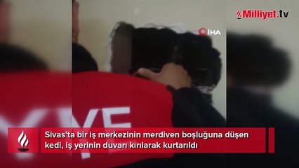Boşluğa düşen kediyi kurtarmak için duvarı kırdılar