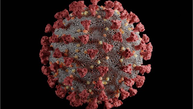 Covid-19 : la septième vague pourrait annoncer le retour du pass sanitaire et compliquer vos vacances