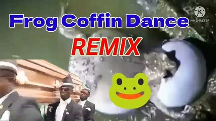 Astronomia Frog Coffin Dance