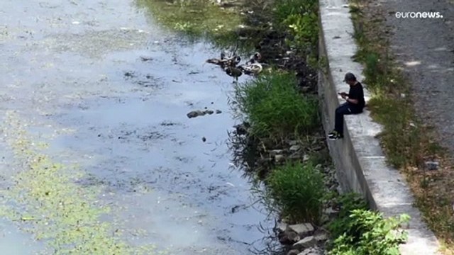 Siccità, Italia verso lo stato d'emergenza nazionale