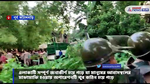 গ্রামের এক আমগাছের ডালে চিতা, আতঙ্কে গ্রামবাসীরা, অবশেষে উদ্ধার