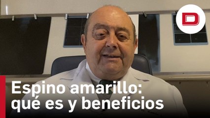 Espino amarillo: qué es, beneficios y cuándo tomarlo