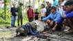 Village Hero Rescues 14 ft Crocodile With Rope