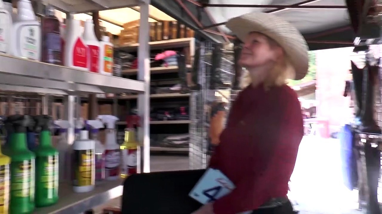 Groß-Enzersdorf Österr. Meisterschaften Westernreiten