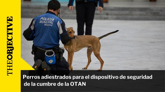 Perros adiestrados para el dispositivo de seguridad de la cumbre de la OTAN