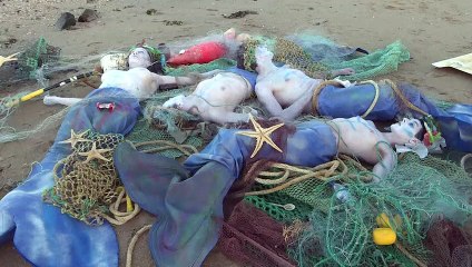 L'ONU déclare un "état d'urgence des océans"