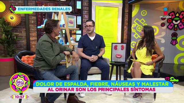 Enfermedades renales: Causas, riesgos, tratamiento y más