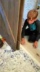 Playful Kitty Pounces Around