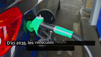 Le Parlement européen décide de voter pour l'interdiction de véhicules diesel et essence