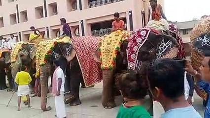 Jagnnath Rath Yatra : कोरोना काल के 2 वर्ष बाद भव्य रूप में निकलेगी भगवान जगन्नाथ की 145वीं रथयात्रा