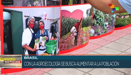 Miles de brasileños asisten a jornada agroecológica en Paraná
