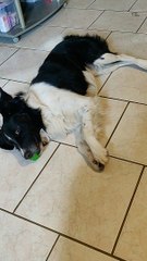 Moment de pur bonheur