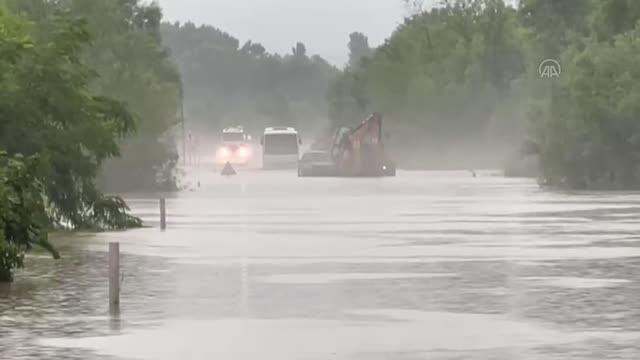 Irmağın taşması sonucu ağaca sığınan kedi bot yardımıyla kurtarıldı