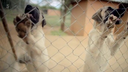 Worlds Most Scenic Railway Journeys S06E06