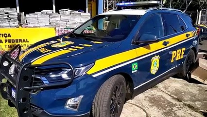 PRF apreende mais de 1,5 tonelada de maconha e skunk em Guarapuava