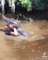 Un homme plonge dans les marécages et soulève un alligator sauvage
