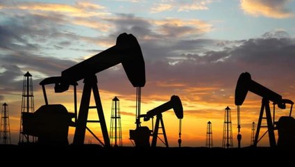 Adana'daki iki kuyuda değeri 1 milyar dolar olan yüksek kaliteli petrol bulundu