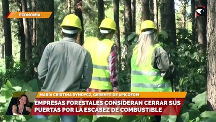 Empresas forestales consideran cerrar sus puertas por la escasez de combustible