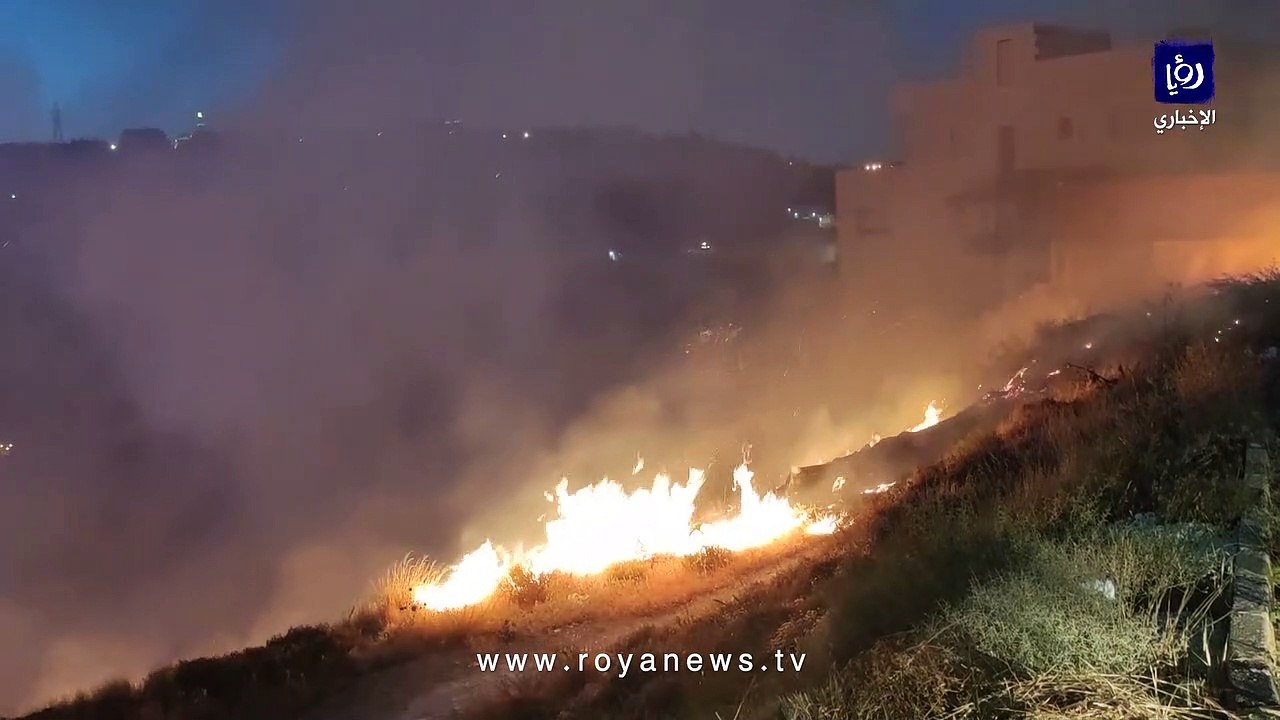 حريق أشجار وأعشاب جافة في ناعور