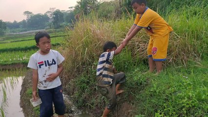Main di sawah sampe sampe Farid digigit lintah