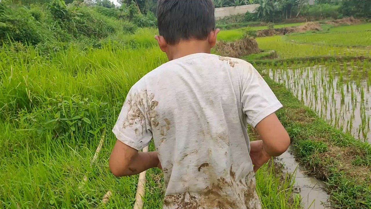Masih main disawah