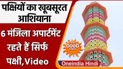 Jaipur में पक्षियों के लिए बना 6 मंजिला अपार्टमेंट, दाना-पानी का भी इंतजाम | वनइंडिया हिंदी | *News