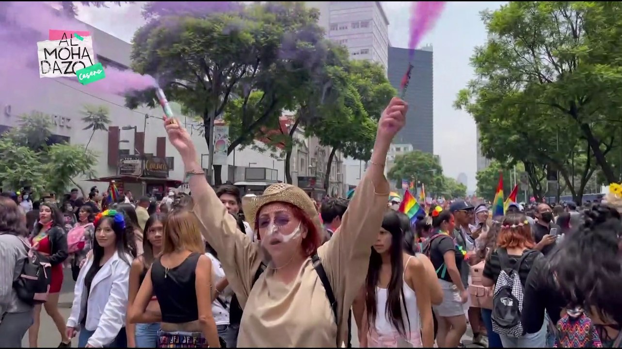 Fernanda en la Marcha del Orgullo - Almohadazo Casero