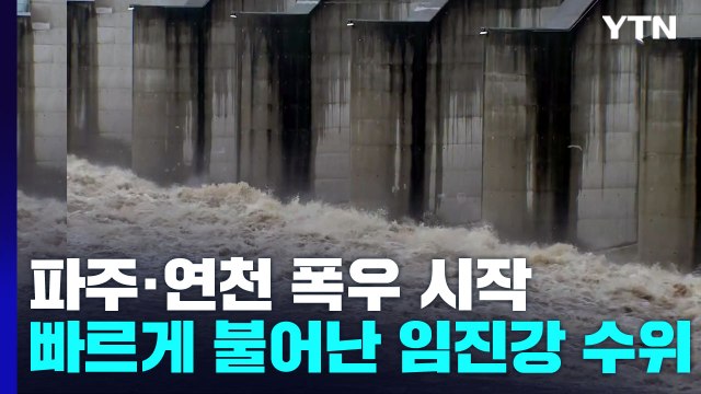 파주·연천 폭우 시작...빠르게 불어나는 임진강 수위 / YTN