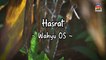Wahyu OS - Hasrat (Official Lyric Video)