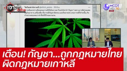 เตือน! กัญชา...ถูกกฎหมายไทย-ผิดกฎหมายเกาหลี : เจาะลึกทั่วไทย (28 มิ.ย. 65)