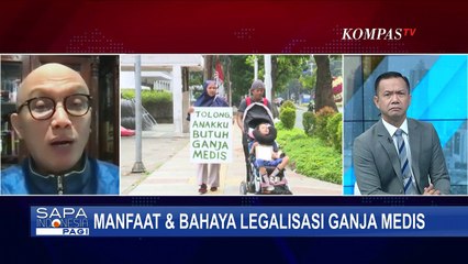 Legalisasi Ganja Medis, Pakar Hukum: Untuk Pelayanan Kesehatan Diperbolehkan