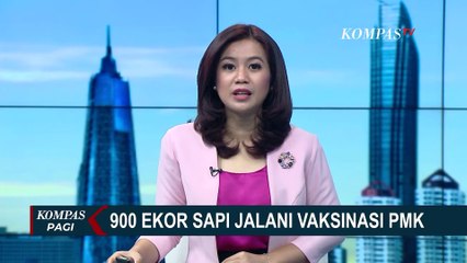 Ratusan Ekor Sapi Mulai Mendapat Vaksinasi PMK di Blitar