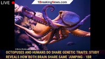 Octopuses and humans DO share genetic traits: Study reveals how both brain share same 'jumping - 1br